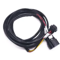 UL1569 Spina Amphenol Connettore Molex Gruppo di cavi per auto elettriche Connettore impermeabile Spina Amphenol